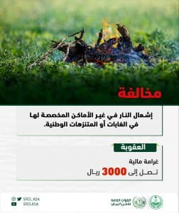 الأمن البيئي يضبط 8 مخالفين لنظام البيئة