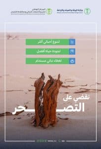 “البيئة” تطلق حملة لتنمية الغطاء النباتي والقضاء على التصحُّر