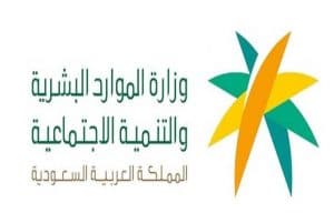 بدءًا من 11 مايو.. تطبيق المرحلة الثانية من المقابل المالي على العمالة المنزلية