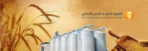 “الأمن الغذائي”: صرف 114.7 مليون ريال مستحقات الدفعة الأولى لمزارعي القمح المحلي