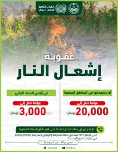 القبض على شخصين لإشعالهما النار في أراضي الغطاء النباتي بعسير