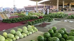 سوق “الحبحب” ببريدة.. يساهم في “الأمن الغذائي” بـ6.4 مليون حبة طوال الموسم