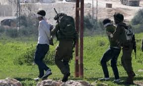 الاحتلال يعتقل 20 فلسطينيًا من الضفة الغربية.. ومستوطنون يقتحمون “الأقصى”