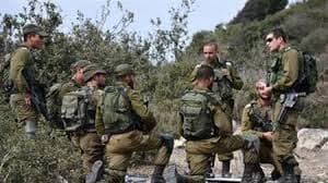 جنود الاحتلال يطلقون كلباً شرساً لمهاجمة عجوز فلسطينية أثناء نومها