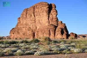 العُلا تتألق بوجهتين متميزتين على قائمة مجلة تايم الأمريكية لأعظم الأماكن في العالم