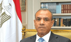 مصر تُشدد على ضرورة التوصل لاتفاق فوري لإطلاق النار بغزة وفتح المعابر