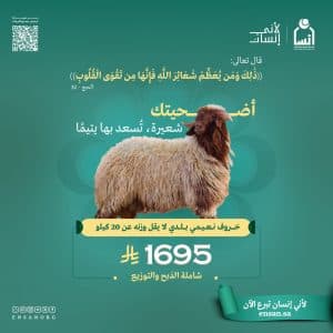 أكثر من 4.000 أسرة تستفيد من الأضاحي بجمعية إنسان
