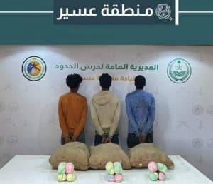 دوريات حرس الحدود بمنطقتَي عسير وجازان تحبط تهريب 426 كلجم من نبات القات والحشيش المخدرَين