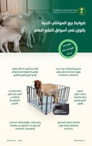 أعلنت ضوابطه وآلياته.. “البيئة”: تطبيق قرار بيع المواشي الحية بالوزن الخميس المقبل في أسواق النفع العام