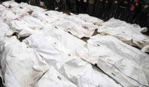 جُلّهم أطفال ونساء.. ارتفاع عدد الشهداء الفلسطينيين بقطاع غزة إلى 56500 شهيد