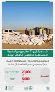 القبض على 6 مخالفين للأنظمة البيئية لدخول إحدى المحميات واقتلاع الأشجار دون ترخيص