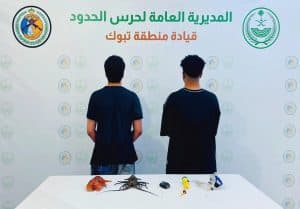 دوريات حرس الحدود بمنطقة تبوك تقبض على مخالفَين للائحة مزاولة الأنشطة البحرية