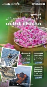تعزيزًا لنمو وازدهار السياحة بـ”عروس المصائف”.. “الطرق” تُطوّر شبكة الطرق المؤدية إلى الطائف بمعايير عالمية