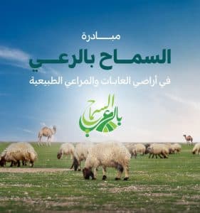 ضمن مبادرة السماح بالرعي في المراعي الطبيعية.. بدء دخول مربي الماشية إلى متنزه معيلة الوطني في عرعر