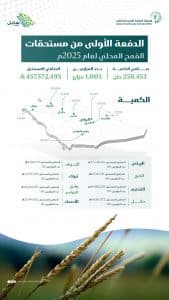 صرف 457.5 مليون ريال مستحقات الدفعة الأولى لـ1005 مزارعين من مورّدي القمح المحلي لموسم 1446/ 1447هـ