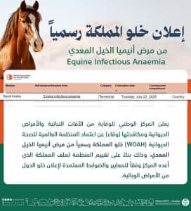 المنظمة العالمية للصحة الحيوانية “WOAH”: خلو المملكة نهائيًا من مرض “أنيميا الخيل” المعدي
