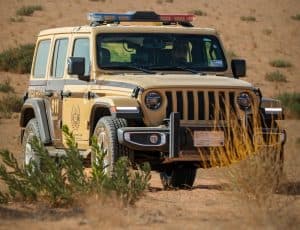 “قوات الأمن البيئي”: ضبط مقيمين مخالفين لنظام البيئة بالشرقية