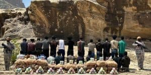 حرس الحدود يحبط محاولات تهريب مخدرات في 4 مناطق