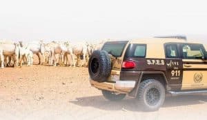 القبض على مخالفَين للأنظمة البيئية بمنطقتَي الرياض والحدود الشمالية