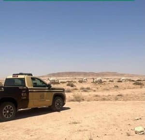 الأمن البيئي يضبط مواطنًا مخالفًا لارتكابه مخالفة رعي في محمية الملك عبدالعزيز الملكية