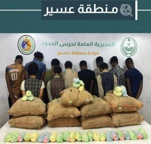 دوريات حرس الحدود بمنطقتَي عسير وجازان تحبط تهريب 460 كلجم من نبات القات المخدر و31650 قرصًا محظورًا تداوله