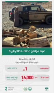 القبض على مواطنَين مخالفَين للأنظمة البيئية بمنطقة المدينة المنورة ومحمية الملك عبدالعزيز الملكية