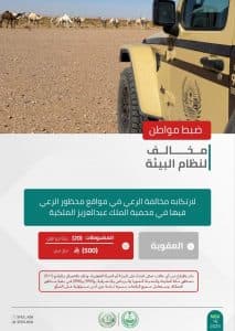 القبض على شخصَين مخالفَين للأنظمة البيئية بمحمية الملك عبدالعزيز الملكية ومنطقة المدينة المنورة
