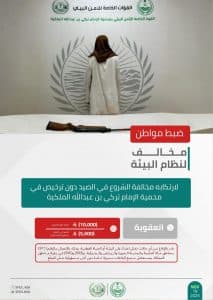 القبض على 4 أشخاص مخالفين للأنظمة البيئية بعدد من مناطق المملكة