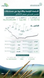 بلغت 255.3 مليون ريال.. صرف مستحقات الدفعة الرابعة (الأخيرة) لمزارعي القمح المحلي لعام 2025