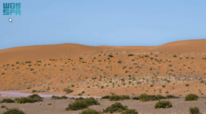 هيئة تطوير محمية الملك عبدالعزيز الملكية: التنزه بمنطقة الطوقي متاح للجميع