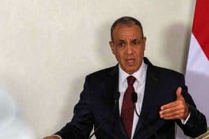 وزير الخارجية المصري يدعو لعقد جلسة طارئة لمجلس السلم والأمن الأفريقي لمناقشة التهديدات الإسرائيلية لوحدة وسيادة الصومال