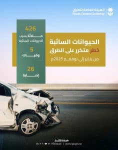 “هيئة الطرق”: تسجيل وقوع 426 حادث الحيوانات السائبة لعام 2025م