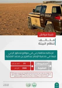 القبض على 4 أشخاص لمخالفتهم الأنظمة البيئية بعدد من مناطق المملكة