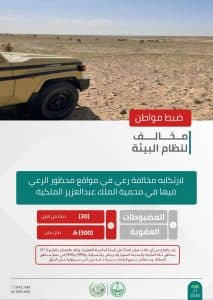 القبض على شخصين لمخالفتهما الأنظمة البيئية في محميتَي الملك عبدالعزيز الملكية وطويق
