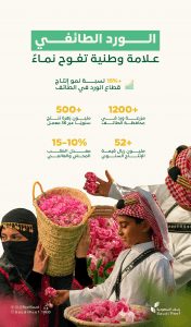 مع زيادة الطلب العالمي عليه.. قطاع الورد بالمملكة يحقق نموًا سنويًا بأكثر من 15%
