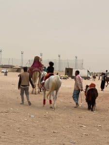 ركوب الخيل والجمال متعة الكبار والصغار في الثمامة