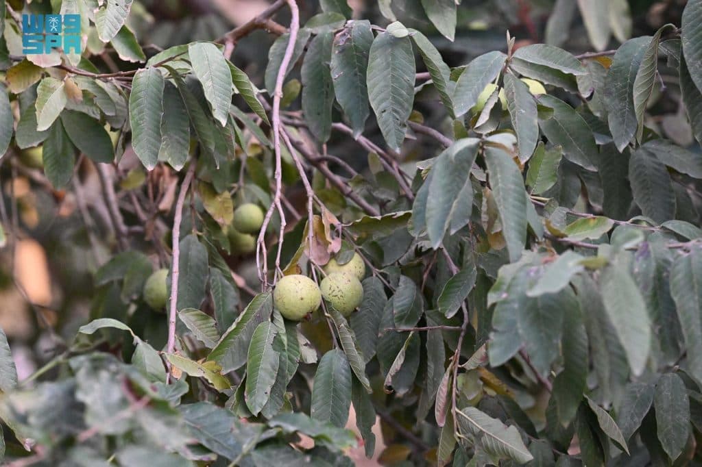 F9798700