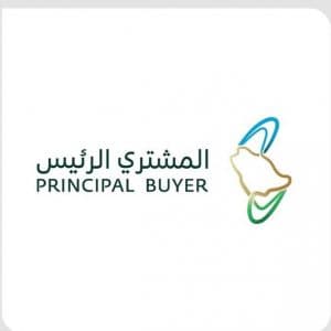 “المشتري الرئيس” تعلن عن فتح باب التأهُّل للمنافسة على المجموعة الثانية لمشروعات أنظمة تخزين الطاقة بتقنية البطاريات بسعة 12,000 ميجاواط – ساعة ولمشروعات الطاقة المتجددة وأنظمة تخزين الطاقة المستقبلية
