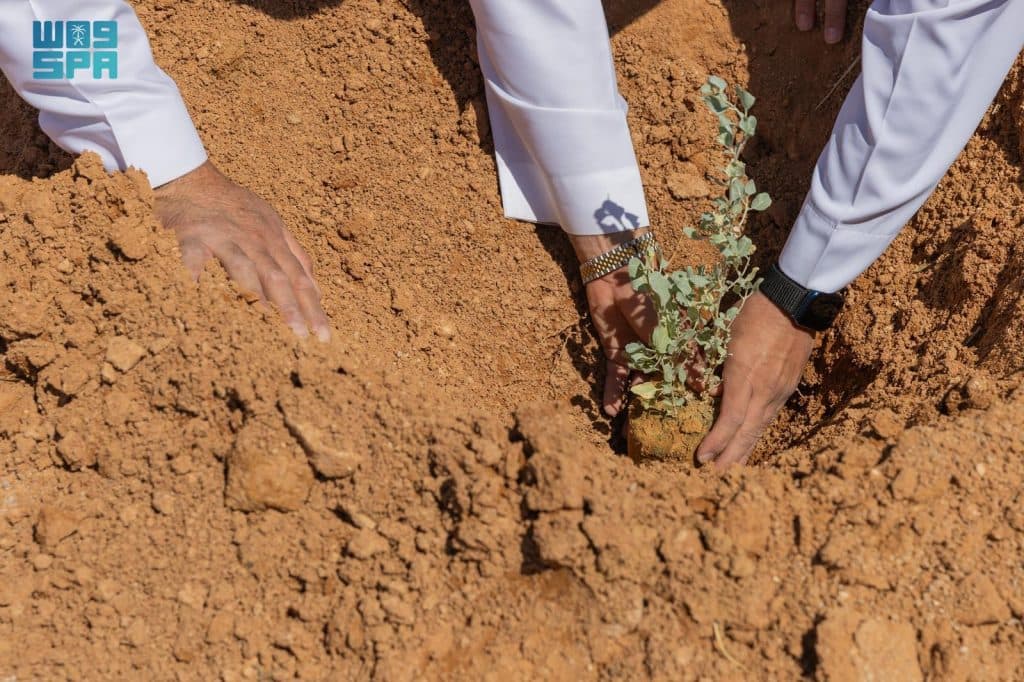 05 ذو القعدة 1447 هـ  الموافق 22 أبريل 2026 م  واس