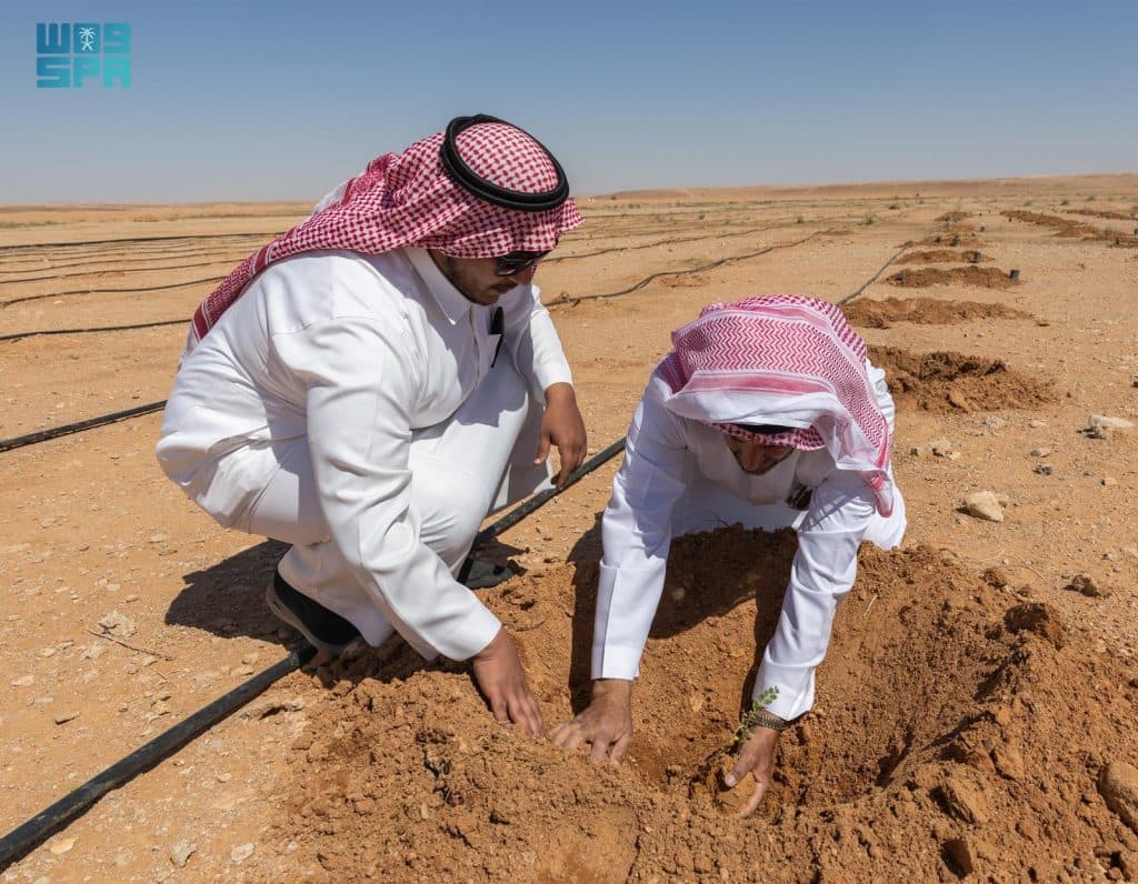 05 ذو القعدة 1447 هـ  الموافق 22 أبريل 2026 م  واس