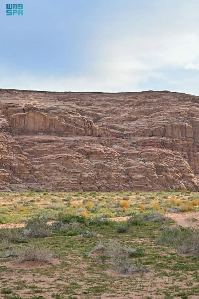 F9862242