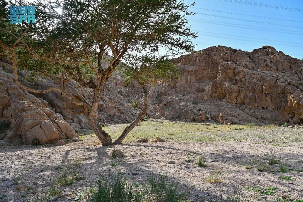 F9862243