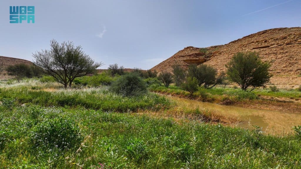 F9866916