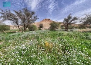 متنزه الغاط الوطني.. طبيعة آسرة وملاذ هادئ للزوار طوال الأسبوع