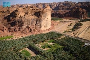 العُلا.. منظومة بيئية متكاملة تعزّز حضورها العالمي في السياحة البيئية المستدامة