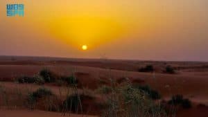 شمس المغيب تُعانق رمال النفود جنوب رفحاء