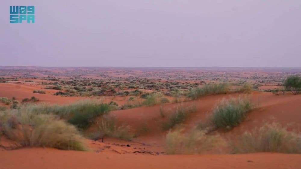F9962800