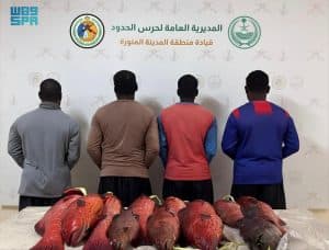 دوريات حرس الحدود بمنطقة المدينة المنورة يقبض على 4 أشخاص لمخالفتهم الأنظمة البحرية بالمملكة