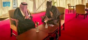 نائب وزير الخارجية يلتقي وزير خارجية مالي