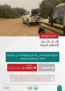 القبض على 4 أشخاص لمخالفتهم الأنظمة البيئية بعدد من مناطق المملكة